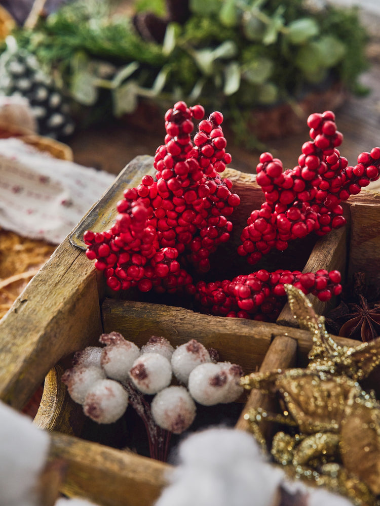 Decorative red berries in bunch