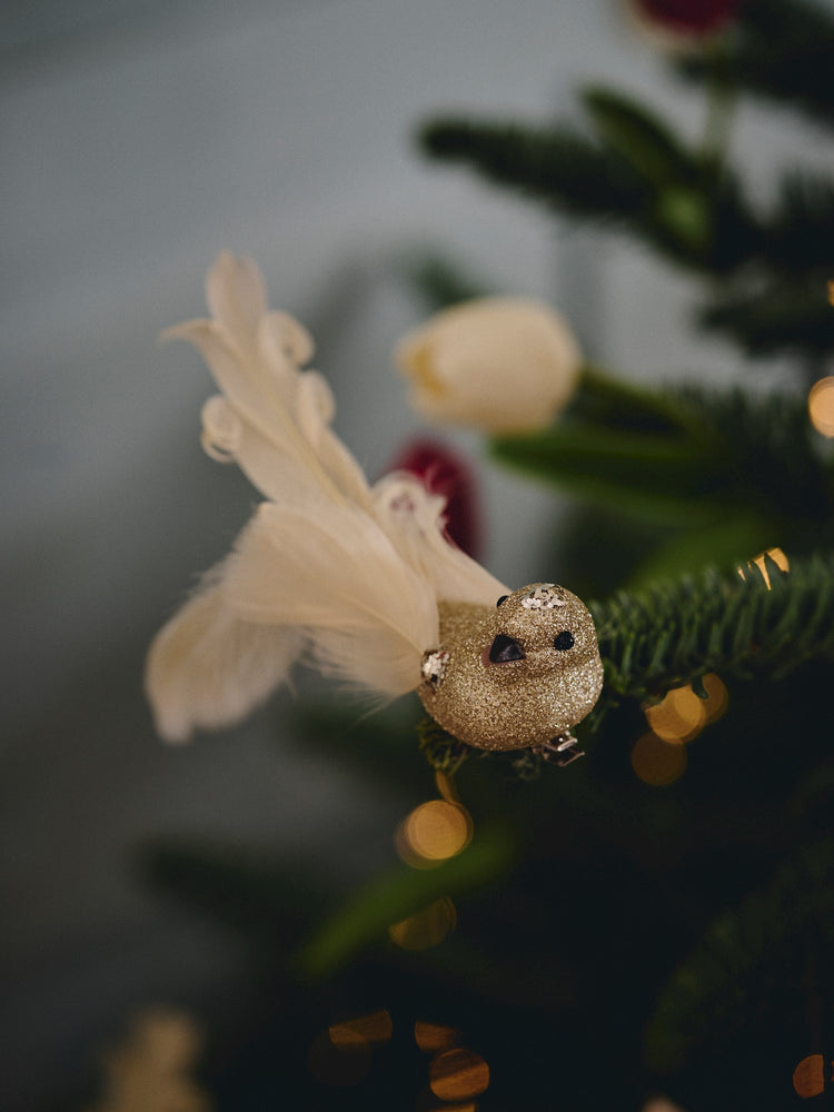 Christmas ornament bird with feather