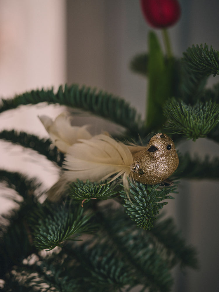 Christmas ornament bird with feather