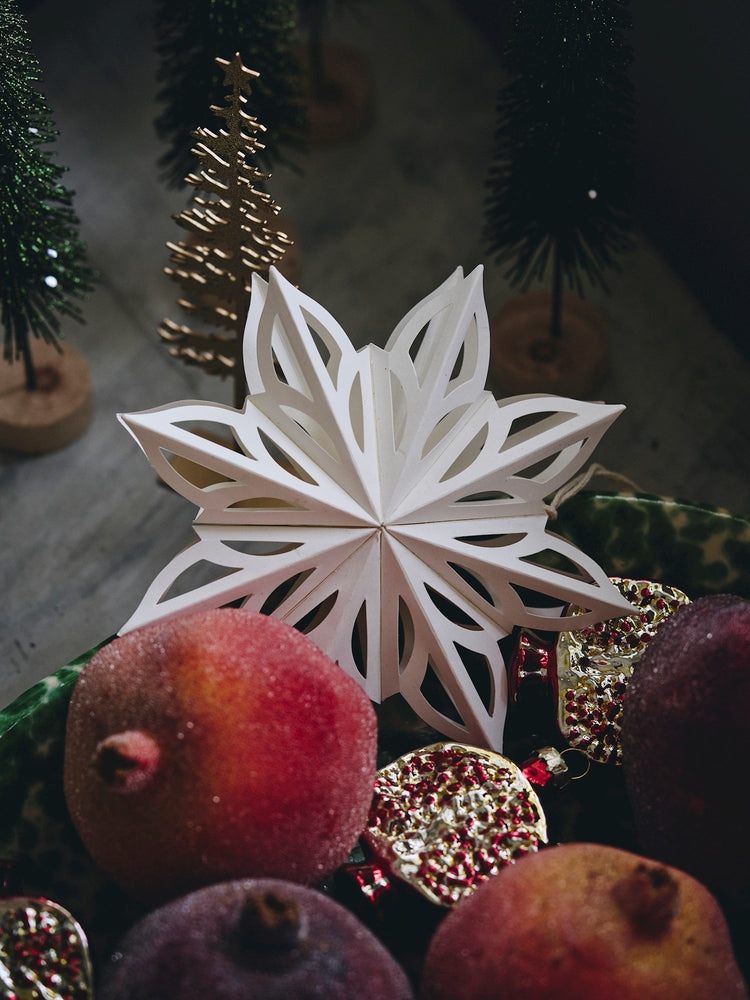 Hanging paper star