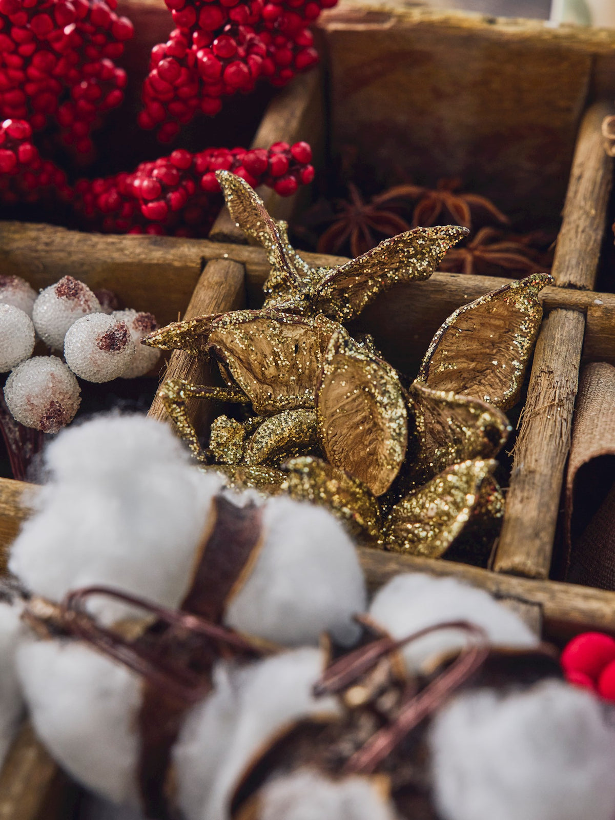 Dried fruit with glitter
