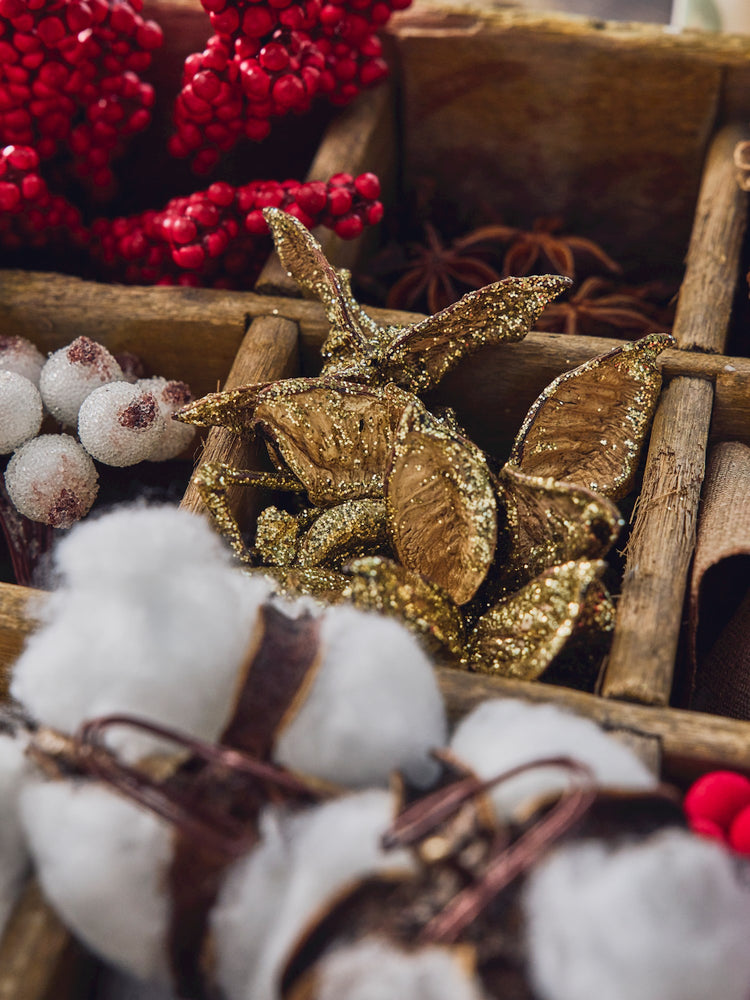 Dried fruit with glitter