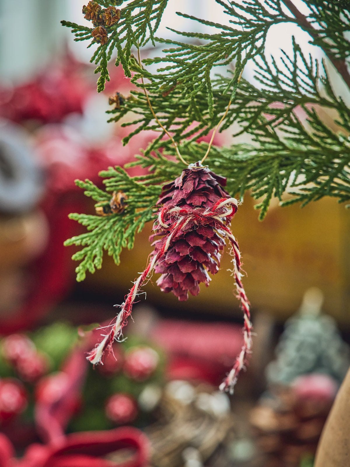 Coloured pine cones