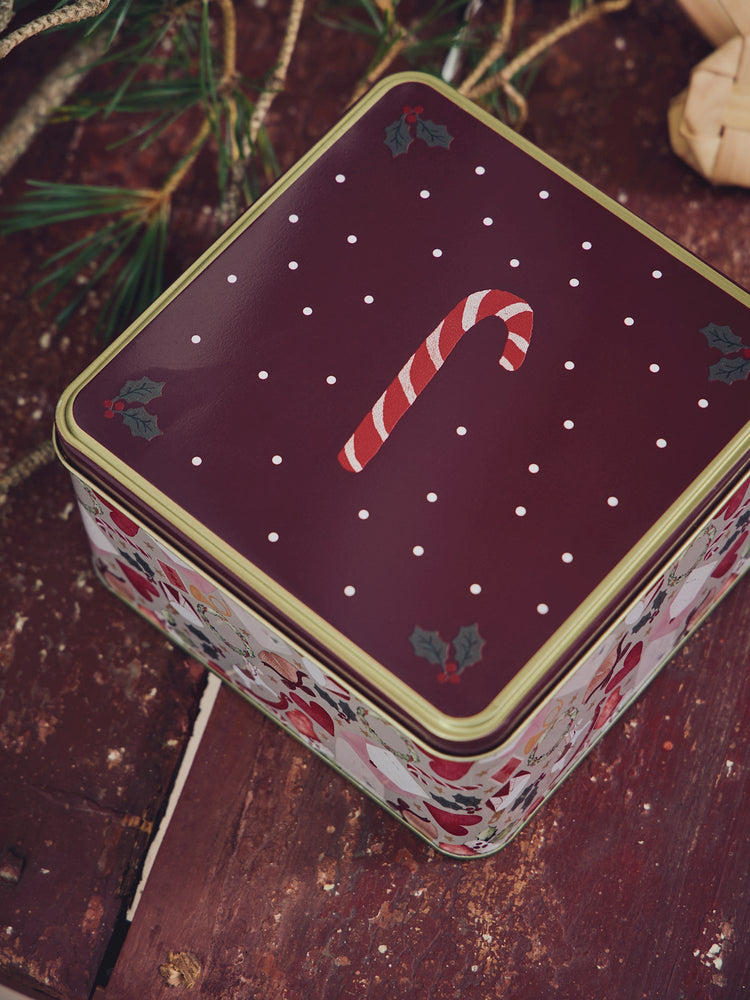 Storage tin