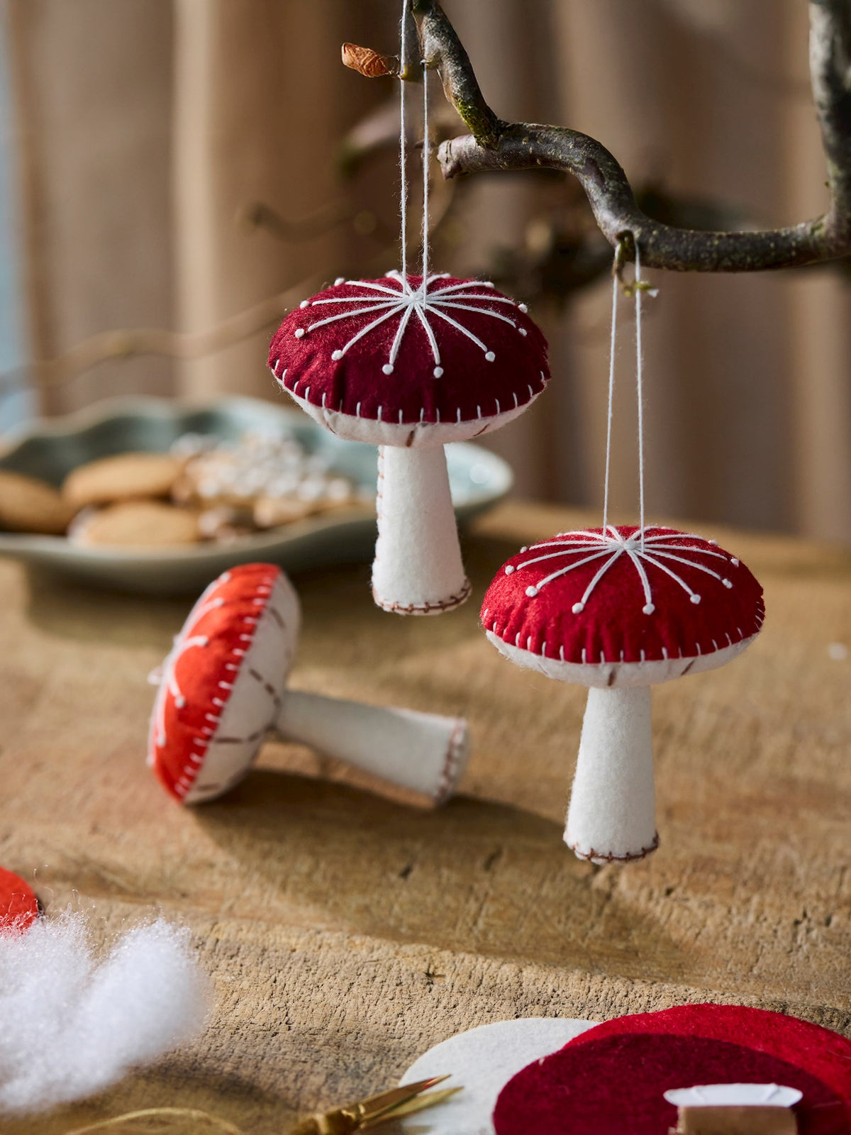 DIY kit mushrooms