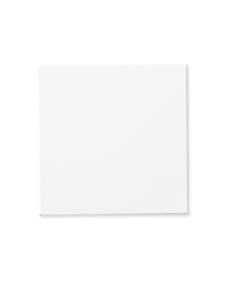 Stretched canvas 20 x 20