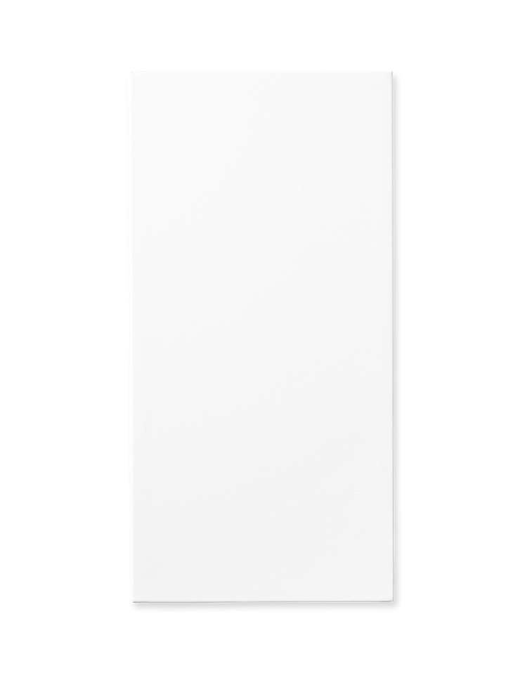Stretched canvas 20 x 40