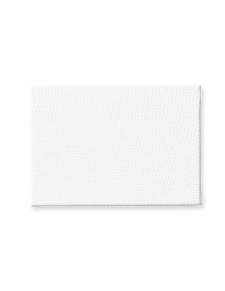 Canvas panel 6.5 x 8.9