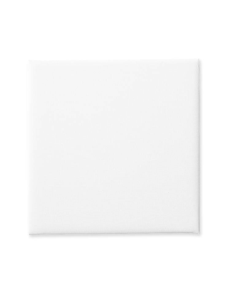 Canvas panel 20 x 20