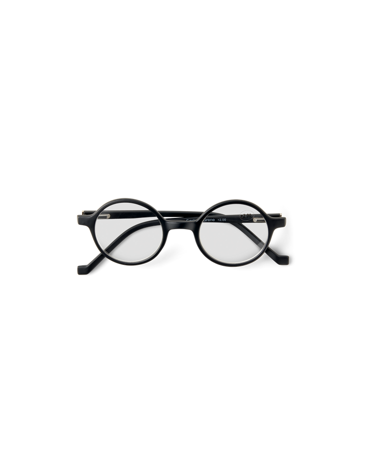Reading glasses +2