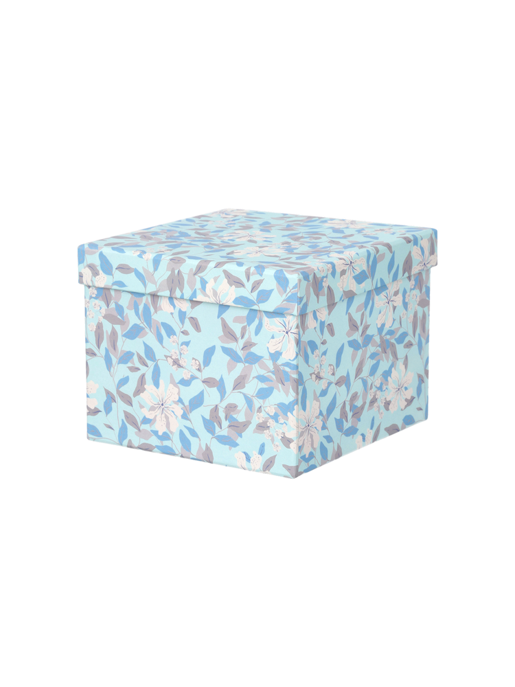 Storage box with lid