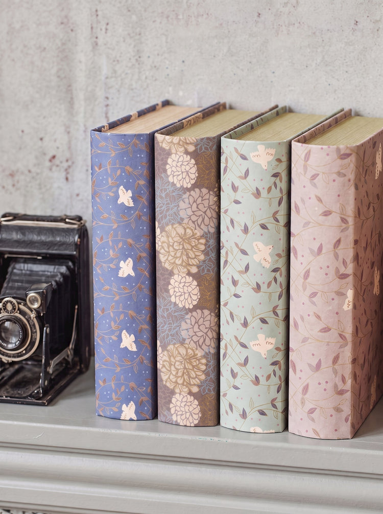 Book storage box