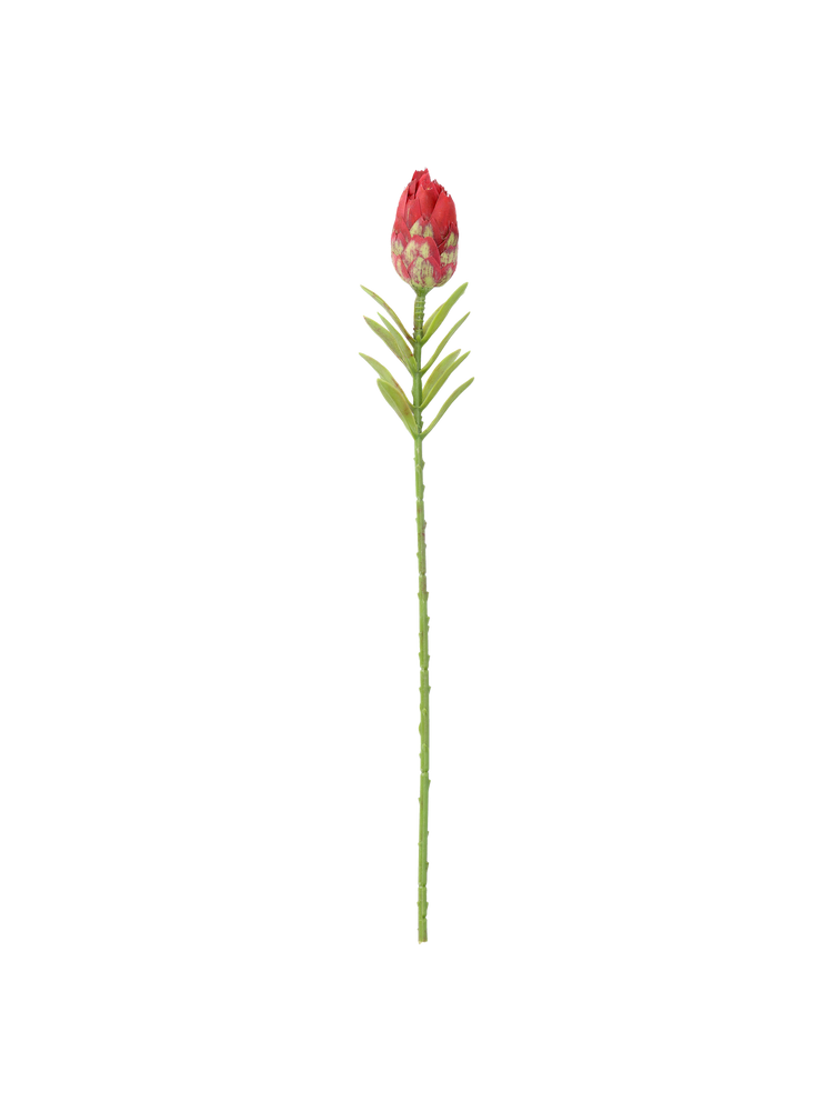 Artificial protea flower
