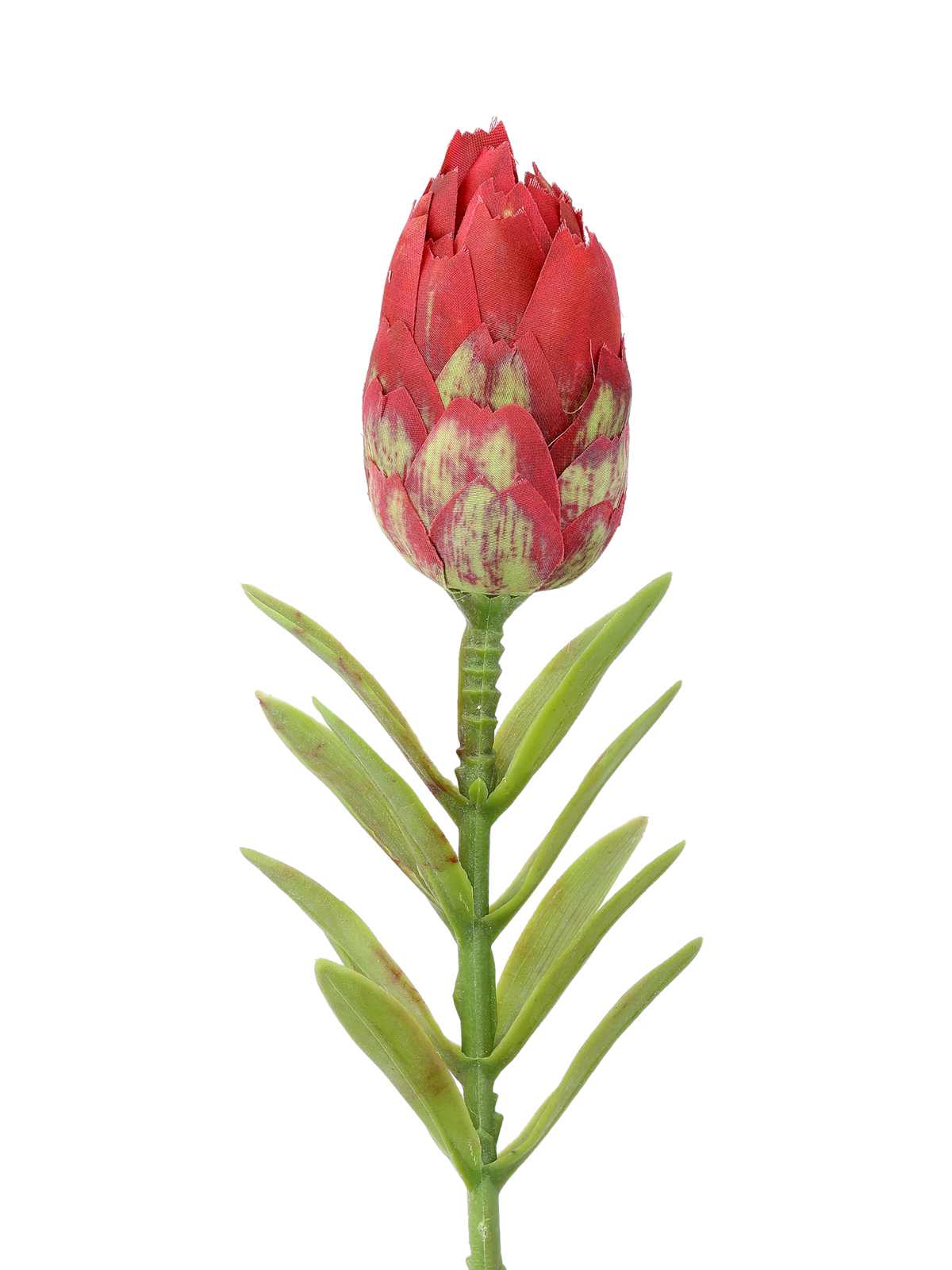 Artificial protea flower
