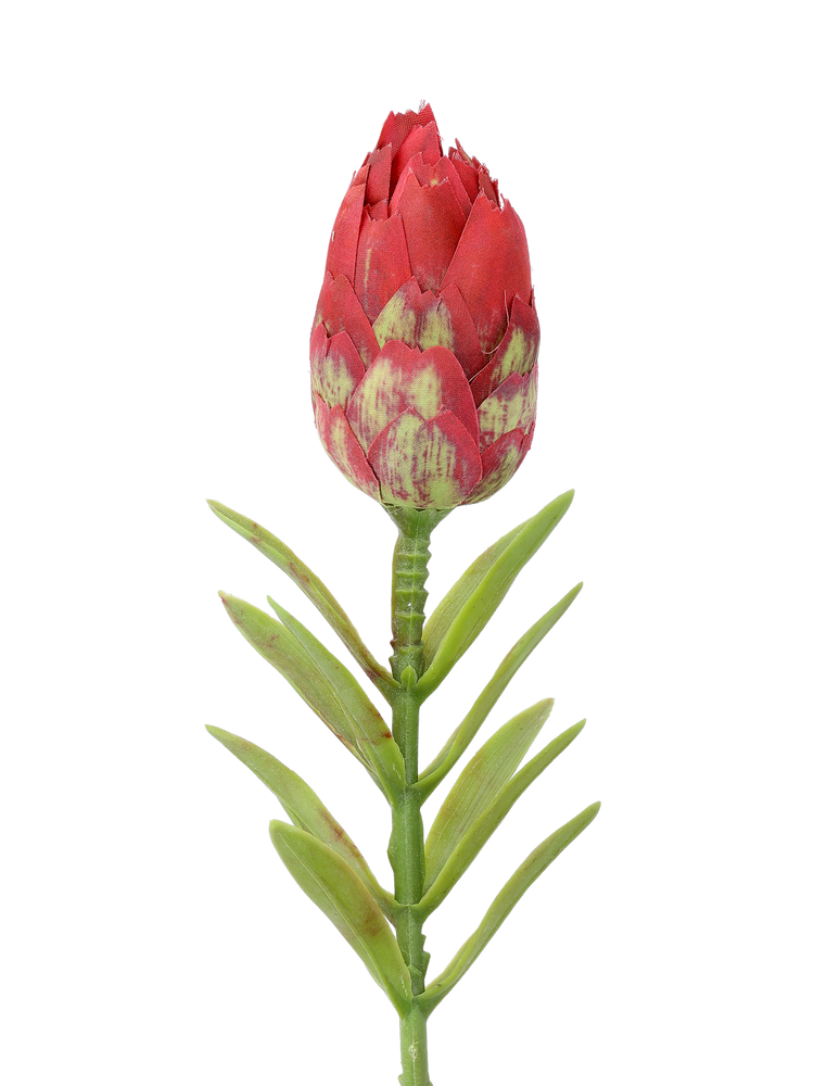 Artificial protea flower