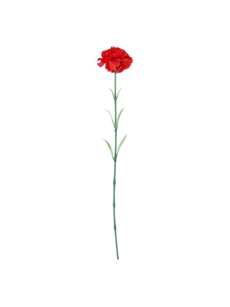 Artificial carnation