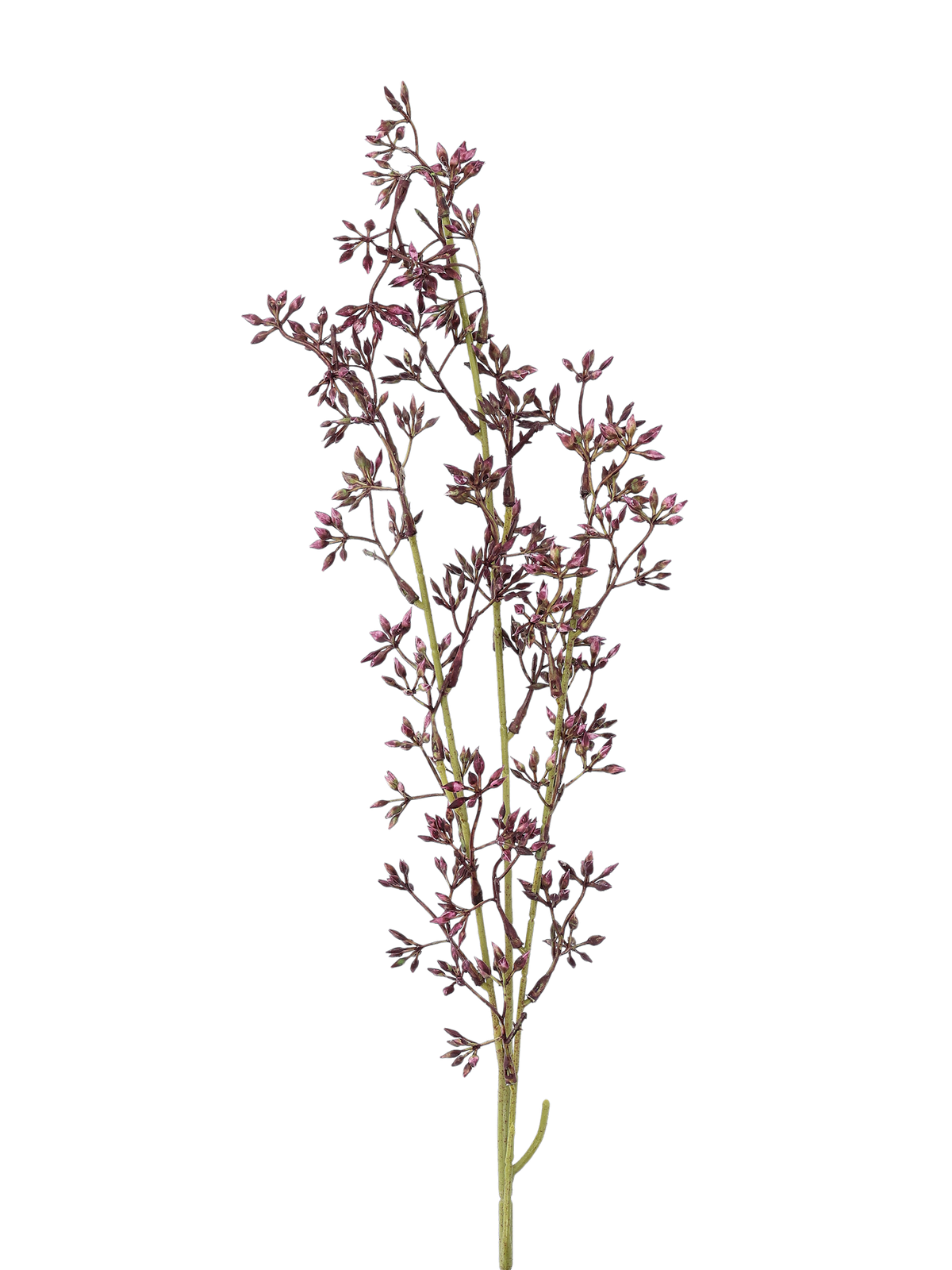 Artificial syringa stem