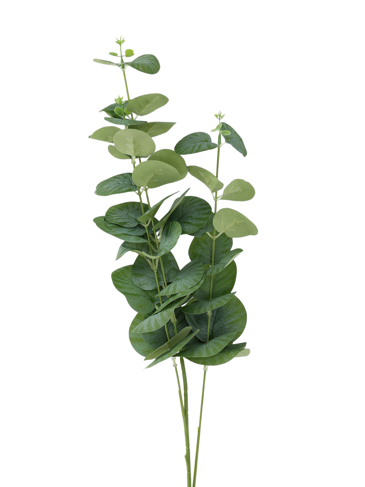 Artificial eucalyptus stem