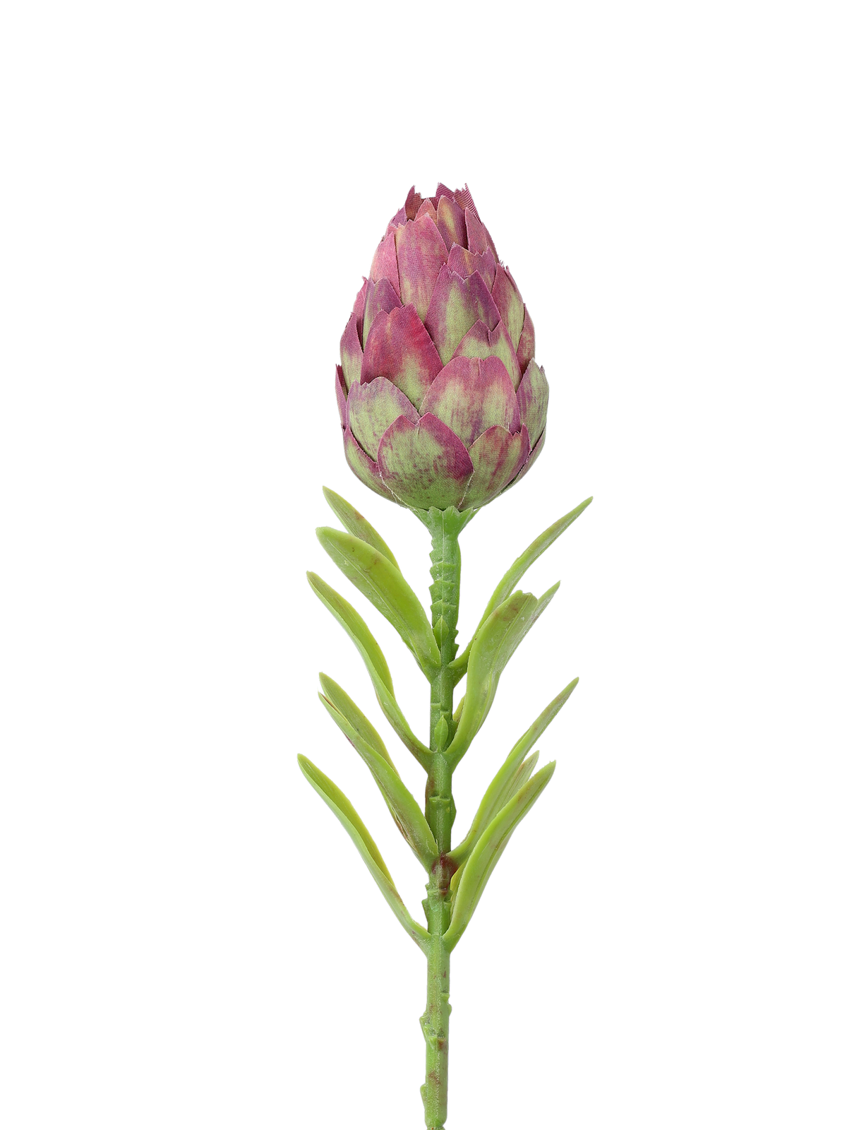 Artificial protea flower