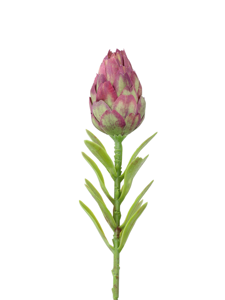 Artificial protea flower
