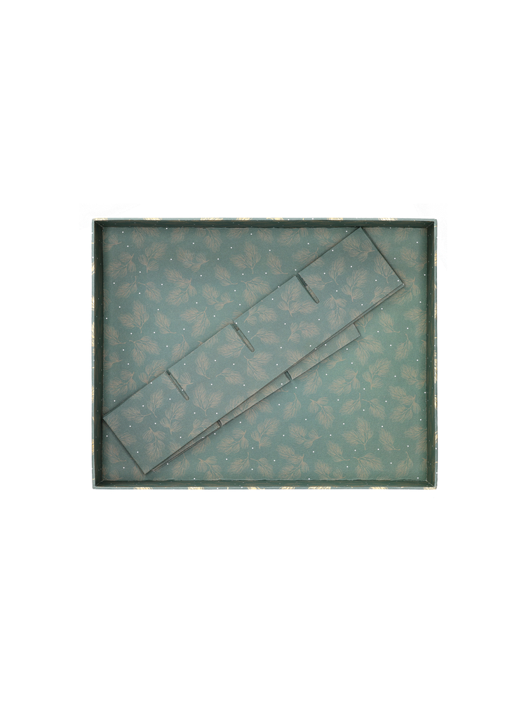Box with dividers