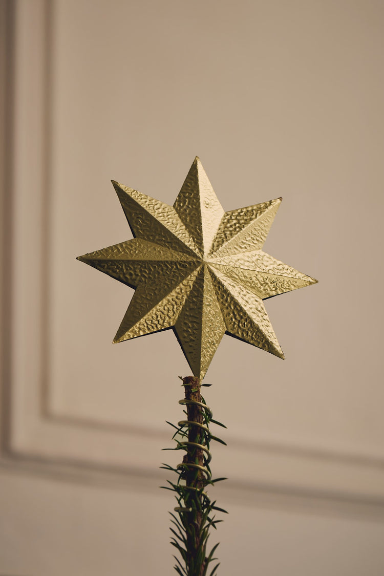 Tree topper star